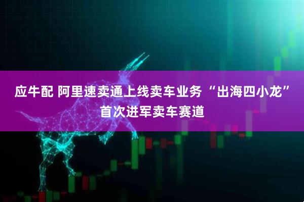 应牛配 阿里速卖通上线卖车业务 “出海四小龙”首次进军卖车赛道