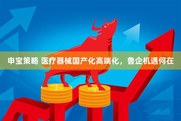 申宝策略 医疗器械国产化高端化，鲁企机遇何在