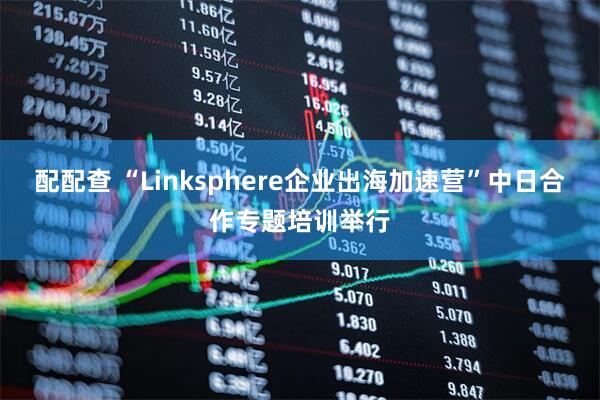 配配查 “Linksphere企业出海加速营”中日合作专题培训举行