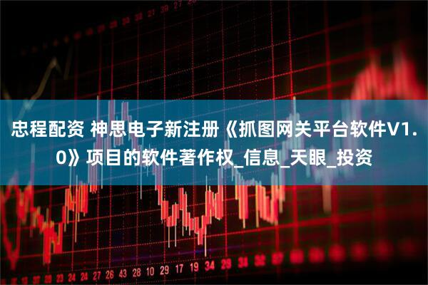 忠程配资 神思电子新注册《抓图网关平台软件V1.0》项目的软件著作权_信息_天眼_投资