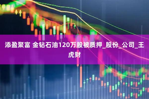 添盈聚富 金钻石油120万股被质押_股份_公司_王虎财