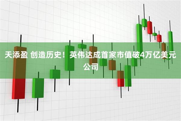 天添盈 创造历史！英伟达成首家市值破4万亿美元公司