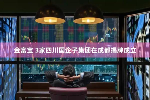 金富宝 3家四川国企子集团在成都揭牌成立