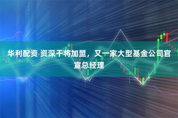 华利配资 资深干将加盟，又一家大型基金公司官宣总经理